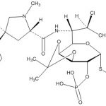 Clindamycin Phosphate Impurity 18 CAS#: 24729-96-21006021