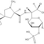 Clindamycin Phosphate α-Isomer CAS#: 24729-96-21006022