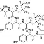 Amoxicillin Impurity M (A Trimer) CAS#: 26787-78-04001014