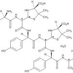 Amoxicillin Impurity N(EP) (A Trimer) CAS#: 26787-78-04001015