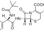 Pivalamido-Cefradine(Terpentamide cefradine) CAS#: 38821-53-38013