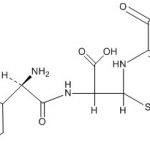 Cefradine Open-Ring Impurity CAS#: 38821-53-38015