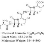 সেফাক্লর ডাবল মাদার নিউক্লিয়াস CAS#: 53994-73-37012