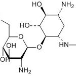 Neomycin Impurity B(EP) CAS#: 54617-39-9