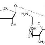 Neomycin Impurity G(EP) CAS#: 54631-94-6