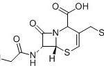Cefazedone Delta3 Isomer, Delta-3-Cefazedone CAS#: 56187-47-429004