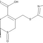 Cefazedone Mother Nucleus Oxide CAS#: 56187-47-429013