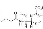 Bromoacetyl Cephalosporin C CAS#: 61-24-545007