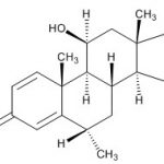 Methylprednisolone Impurity C(EP) CAS#: 61919-52-6