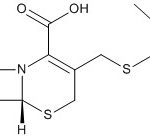 Cefoperazone Mother Nucleus CAS#: 62893-19-025013