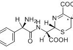Cefadroxil Impurity C(EP) CAS#: 66592-87-831004
