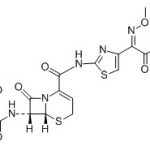 Ceftizoxime Dimer B CAS#: 68401-81-020020
