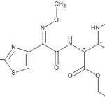 Ceftizoxime Open-ring Ethyl Ester CAS#: 68401-81-020021