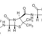 Ampicilline Impureté R CAS#: 69-53-44003019