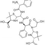 암피실린 불순물 F(USP)(이량체) CAS#: 69-53-44003034