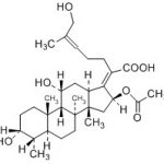 Fusidic Acid Impurity E(EP) CAS#: 6990-06-320053005