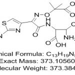 Impureza de Norfloxacina EP F CAS #: 70458-96-77004007