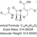 ノルフロキサシンEP不純物HCAS＃：70458-96-77004009