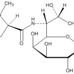 Lincomycin Impurity A(EP) CAS#: 7179-49-9