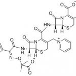 Ceftazidime Double Mother Nucleus Impurity CAS#: 72558-82-811016