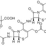 Acetoxy Ceftazidime Dimer CAS#: 72558-82-811018