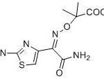 Ceftazidime Impurity K CAS#: 72558-82-811024