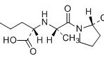 Enalapril Maleate Impurity C(EP) CAS#: 76420-72-9