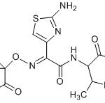 Aztreonam Impurity 5 CAS#: 78110-38-020008018۔