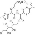 Cefixime Impurity Z CAS#: 79350-37-11048