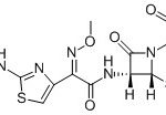 Ceftiofur डबल साइड चेन CAS#: 80370-57-654033