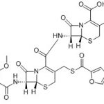 Ceftiofur Double Mother Nucleus CAS#: 80370-57-654037