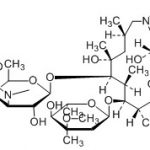 Azitromicina Impureza 5 CAS#: 83905-01-51005026