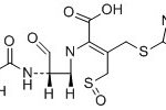 Delta-3-L-Cefminox Isomer CAS#: 84305-41-938009