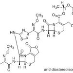 Cefpodoxime Proxetil Impurity N(a dimer) CAS#: 87239-81-432023