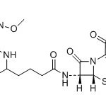 Cefepime P1A Impurity CAS#: 88040-23-719014