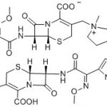 Dimer cefepimu Nr CAS: 88040-23-719020