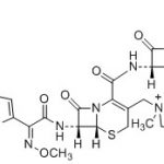 Pengotor Cefepime P CAS#: 88040-23-719021