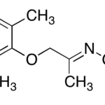 Mexiletine-01 CAS#: 55304-19-3