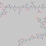 1-2 Hydrolysis Calcitonin CAS#: N/A