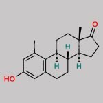 1-Methylestrone CAS#: 4011-48-7