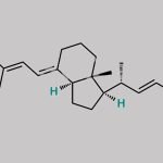 (1beta)-Pariacalcitol CAS#: N/A