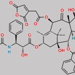 10-Cis-aconityl Docetaxel CAS#: N/A