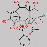 10-Deacetyl-14-Hydroxy-Baccatin III CAS#: 145533-34-2