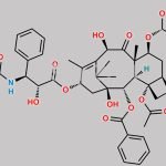 10-Deacetyl-7-Xylosyl Paclitaxel CAS#: 90332-63-1