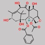 10-Deacetyl Baccatin III CAS#: 32981-86-5
