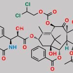 10-Dec Docetaxel CAS#: 158810-73-2