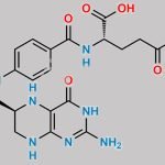 10-Formyltetrahydrofolic Acid CAS#: N/A