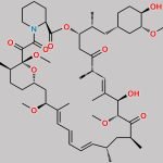 10-Methoxy Sirolimus CAS#: N/A