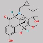 10-Oxo Buprenorphine CAS#: 1044710-08-8