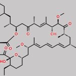 11-Ethyl Rapamycin CAS#: N/A